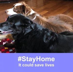 Meet your Posher, Joan m